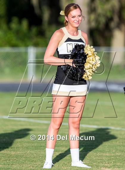 Thumbnail 1 in Mitchell @ Wiregrass Ranch photogallery.