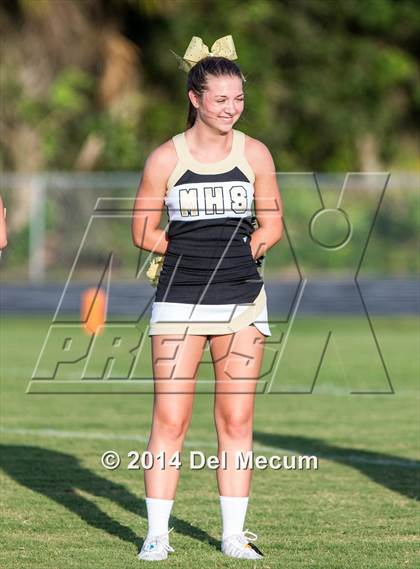 Thumbnail 3 in Mitchell @ Wiregrass Ranch photogallery.
