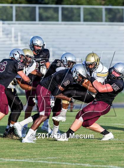 Thumbnail 3 in Mitchell @ Wiregrass Ranch photogallery.