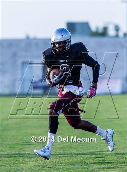 Thumbnail 3 in Mitchell @ Wiregrass Ranch photogallery.