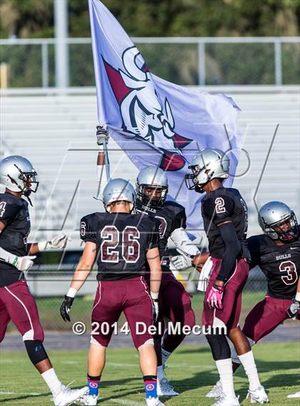 Thumbnail 1 in Mitchell @ Wiregrass Ranch photogallery.