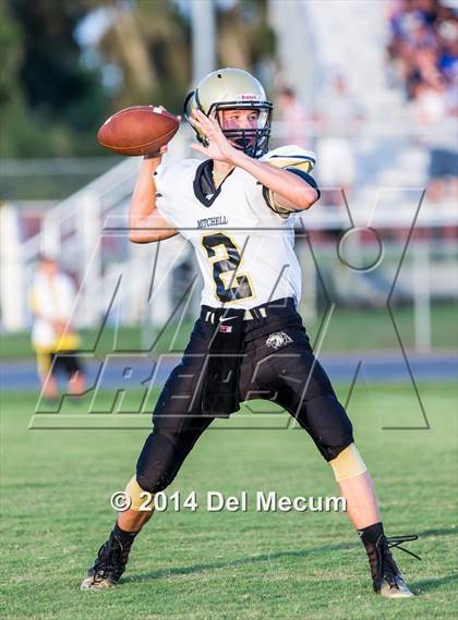 Thumbnail 1 in Mitchell @ Wiregrass Ranch photogallery.