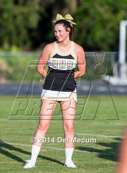Thumbnail 1 in Mitchell @ Wiregrass Ranch photogallery.