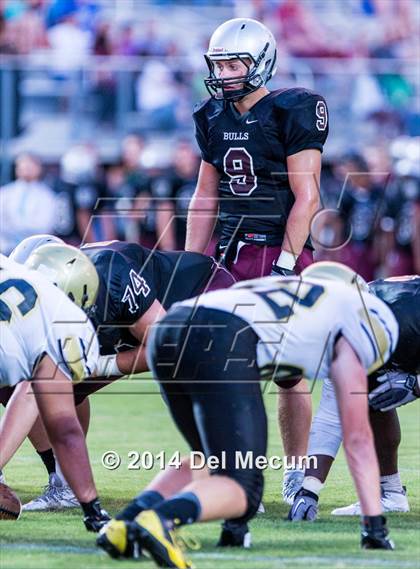 Thumbnail 3 in Mitchell @ Wiregrass Ranch photogallery.