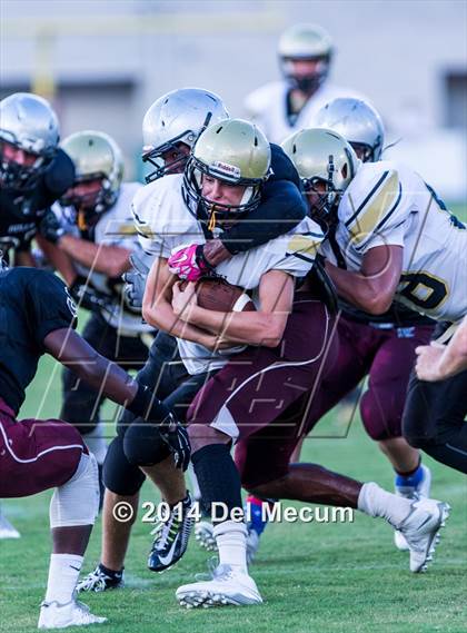 Thumbnail 1 in Mitchell @ Wiregrass Ranch photogallery.