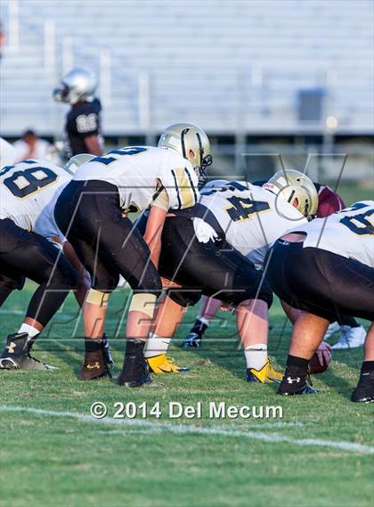 Thumbnail 3 in Mitchell @ Wiregrass Ranch photogallery.