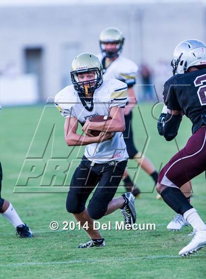 Thumbnail 1 in Mitchell @ Wiregrass Ranch photogallery.