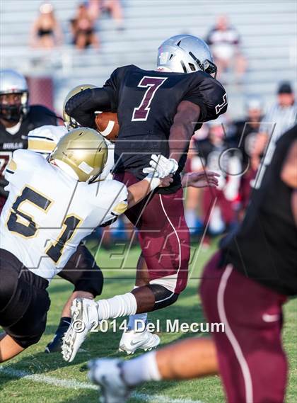 Thumbnail 3 in Mitchell @ Wiregrass Ranch photogallery.