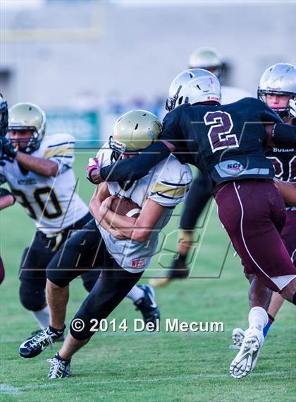 Thumbnail 2 in Mitchell @ Wiregrass Ranch photogallery.