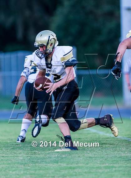 Thumbnail 2 in Mitchell @ Wiregrass Ranch photogallery.