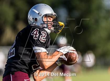 Thumbnail 2 in Mitchell @ Wiregrass Ranch photogallery.