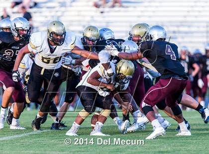 Thumbnail 3 in Mitchell @ Wiregrass Ranch photogallery.