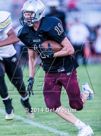 Thumbnail 1 in Mitchell @ Wiregrass Ranch photogallery.