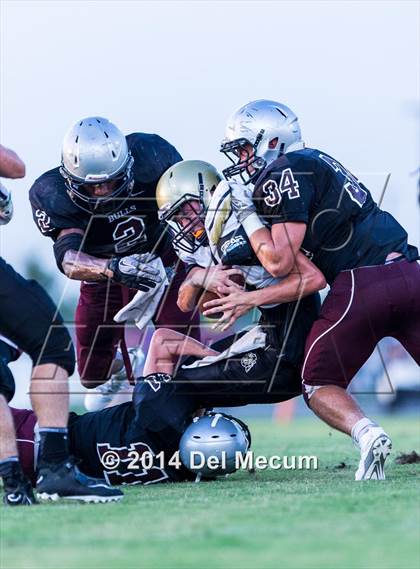 Thumbnail 1 in Mitchell @ Wiregrass Ranch photogallery.