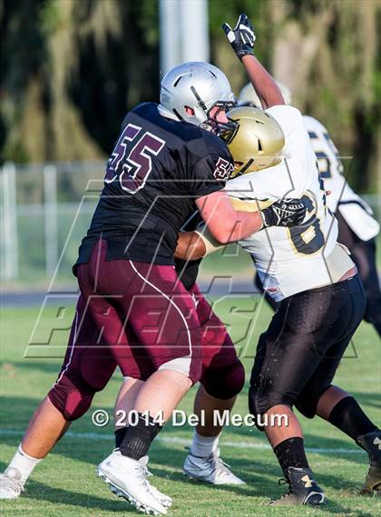 Thumbnail 2 in Mitchell @ Wiregrass Ranch photogallery.