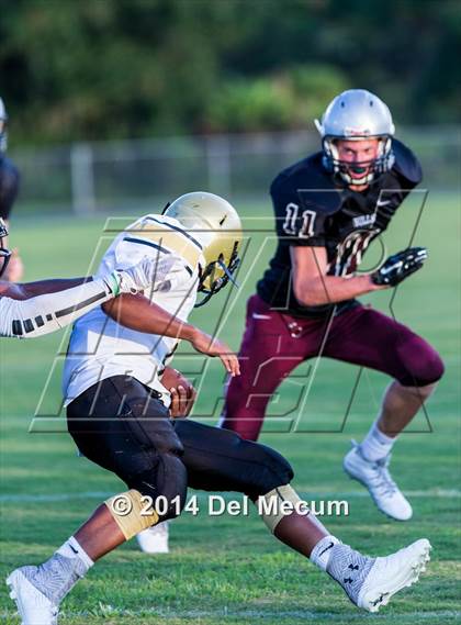 Thumbnail 2 in Mitchell @ Wiregrass Ranch photogallery.