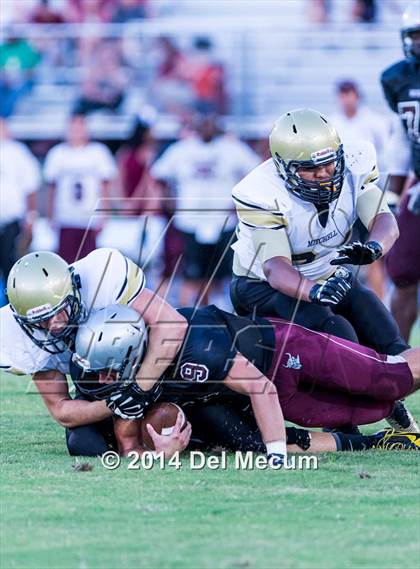 Thumbnail 1 in Mitchell @ Wiregrass Ranch photogallery.