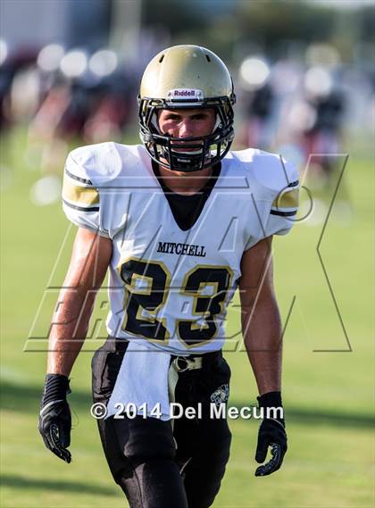 Thumbnail 1 in Mitchell @ Wiregrass Ranch photogallery.