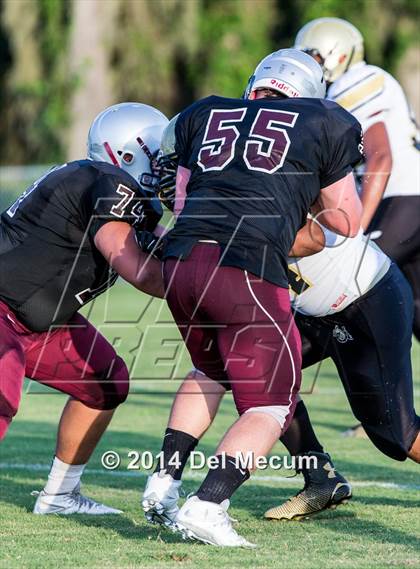 Thumbnail 1 in Mitchell @ Wiregrass Ranch photogallery.