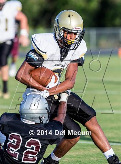 Thumbnail 2 in Mitchell @ Wiregrass Ranch photogallery.
