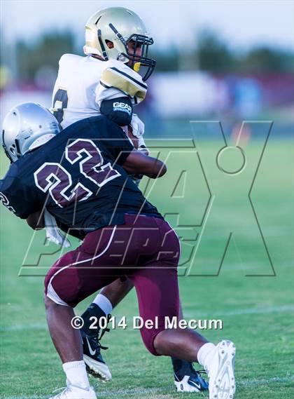 Thumbnail 1 in Mitchell @ Wiregrass Ranch photogallery.