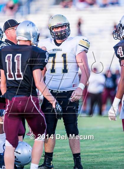 Thumbnail 2 in Mitchell @ Wiregrass Ranch photogallery.