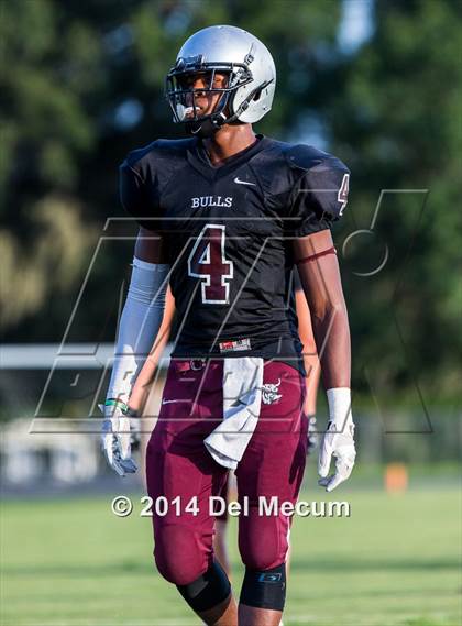 Thumbnail 1 in Mitchell @ Wiregrass Ranch photogallery.