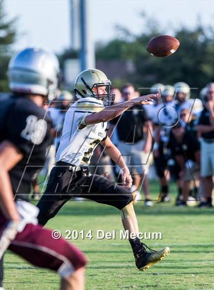Thumbnail 1 in Mitchell @ Wiregrass Ranch photogallery.