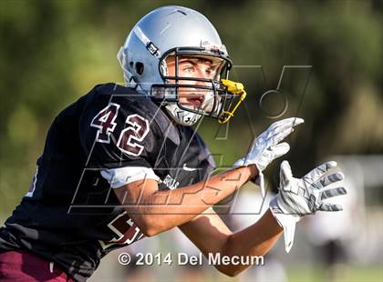 Thumbnail 3 in Mitchell @ Wiregrass Ranch photogallery.