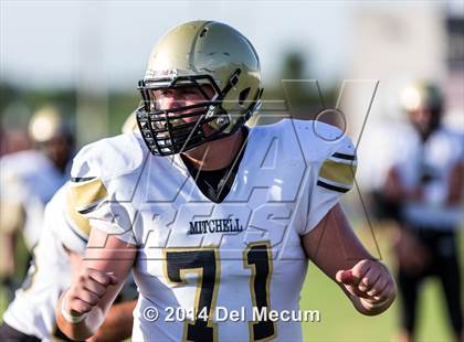 Thumbnail 3 in Mitchell @ Wiregrass Ranch photogallery.