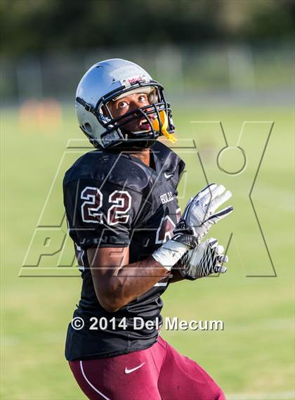 Thumbnail 3 in Mitchell @ Wiregrass Ranch photogallery.