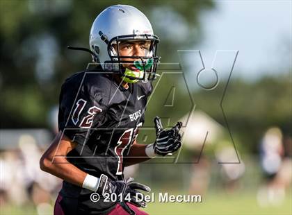 Thumbnail 3 in Mitchell @ Wiregrass Ranch photogallery.