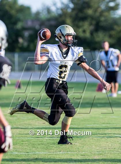 Thumbnail 2 in Mitchell @ Wiregrass Ranch photogallery.