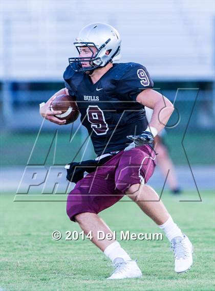 Thumbnail 1 in Mitchell @ Wiregrass Ranch photogallery.