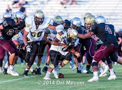 Thumbnail 2 in Mitchell @ Wiregrass Ranch photogallery.