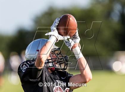 Thumbnail 1 in Mitchell @ Wiregrass Ranch photogallery.