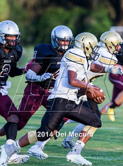 Thumbnail 1 in Mitchell @ Wiregrass Ranch photogallery.