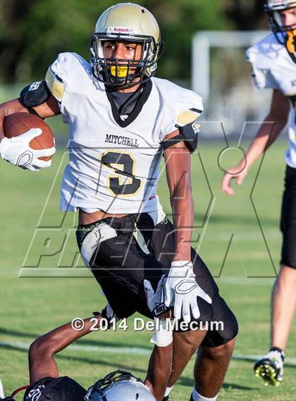 Thumbnail 1 in Mitchell @ Wiregrass Ranch photogallery.