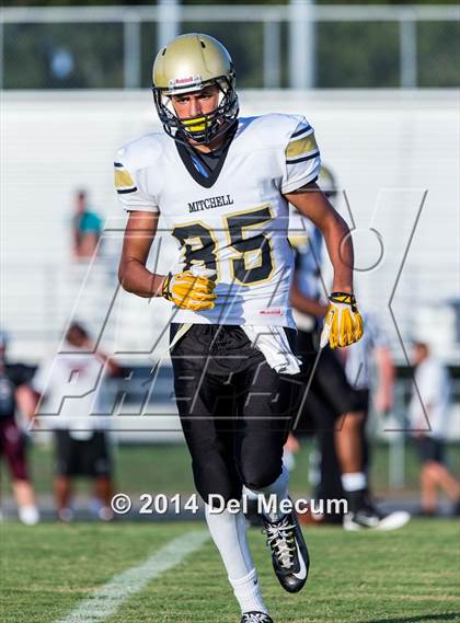 Thumbnail 3 in Mitchell @ Wiregrass Ranch photogallery.