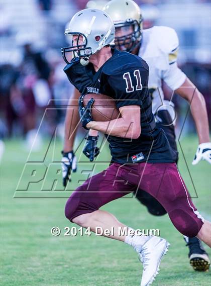 Thumbnail 1 in Mitchell @ Wiregrass Ranch photogallery.