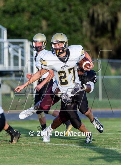 Thumbnail 2 in Mitchell @ Wiregrass Ranch photogallery.