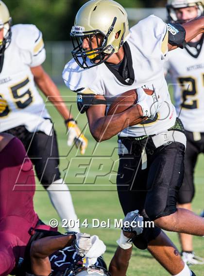 Thumbnail 1 in Mitchell @ Wiregrass Ranch photogallery.