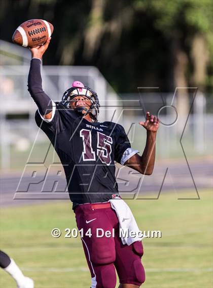 Thumbnail 1 in Mitchell @ Wiregrass Ranch photogallery.