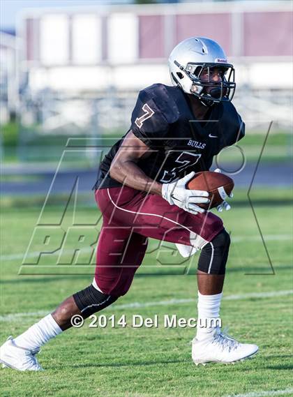 Thumbnail 3 in Mitchell @ Wiregrass Ranch photogallery.
