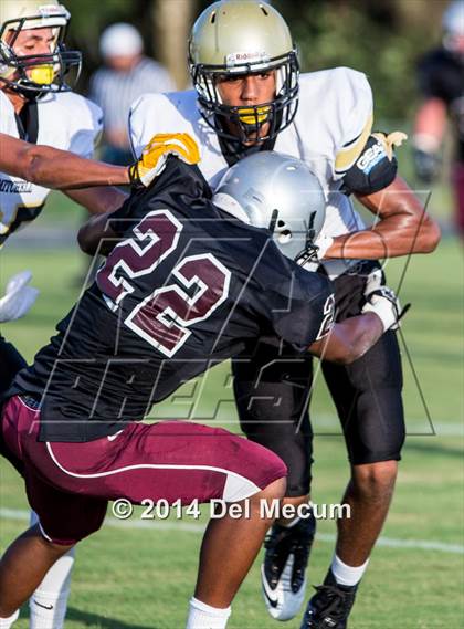 Thumbnail 1 in Mitchell @ Wiregrass Ranch photogallery.