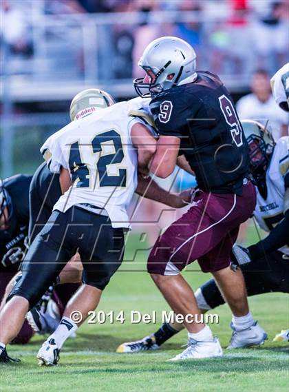 Thumbnail 1 in Mitchell @ Wiregrass Ranch photogallery.
