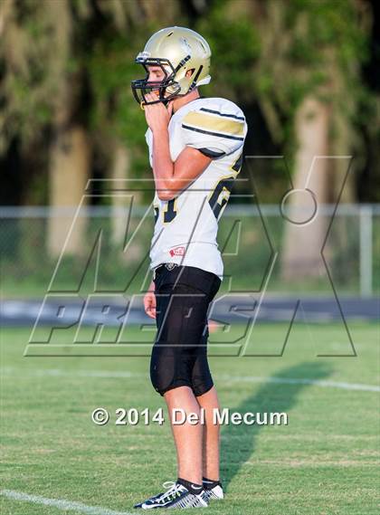 Thumbnail 3 in Mitchell @ Wiregrass Ranch photogallery.