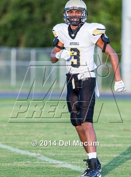 Thumbnail 3 in Mitchell @ Wiregrass Ranch photogallery.