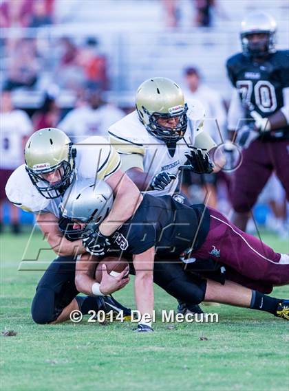 Thumbnail 3 in Mitchell @ Wiregrass Ranch photogallery.