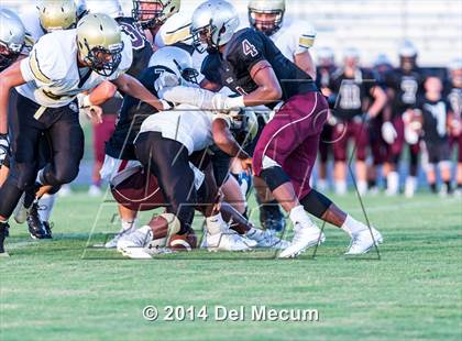 Thumbnail 1 in Mitchell @ Wiregrass Ranch photogallery.